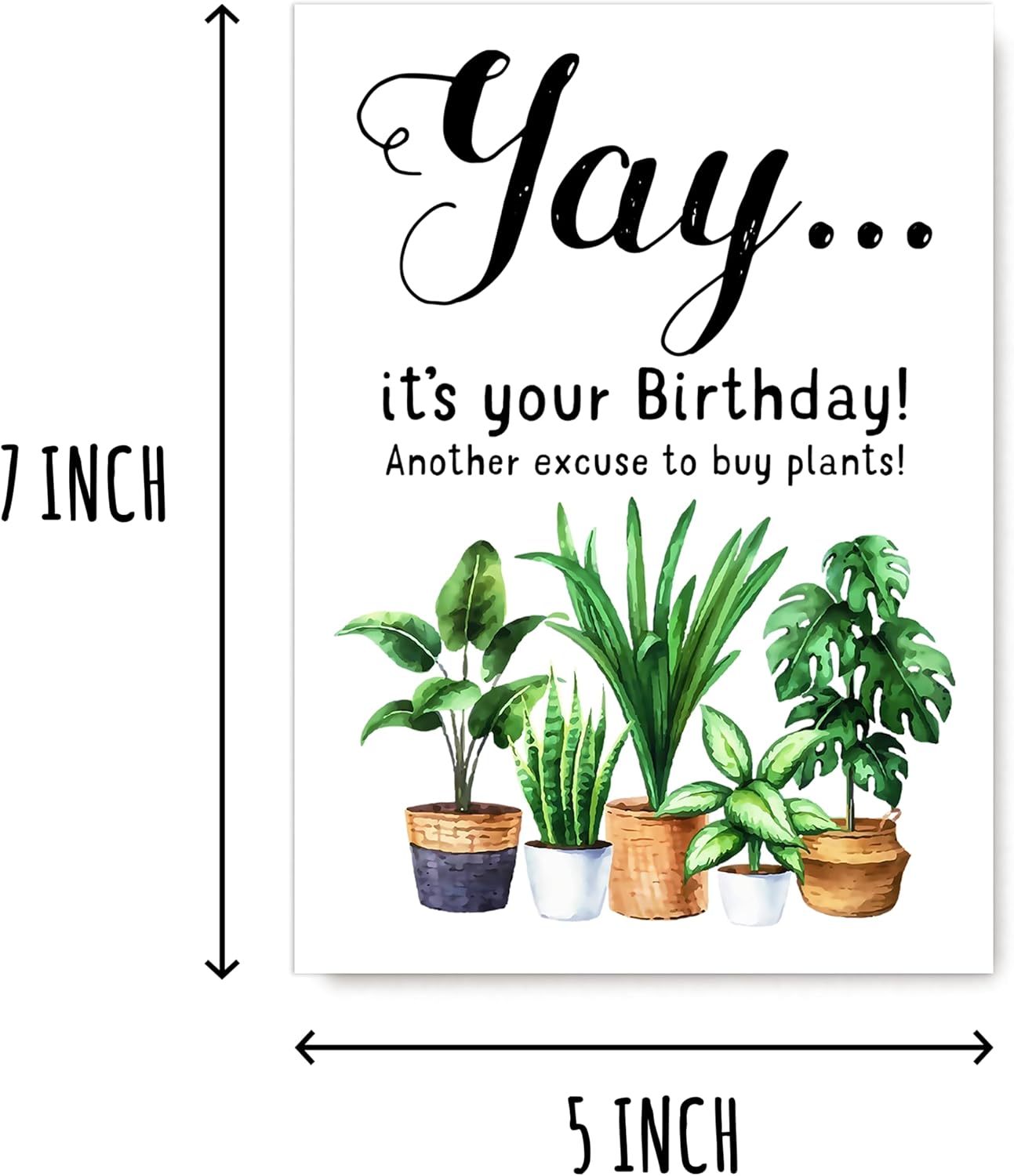 Happy Birthday Greeting Card - Plant Lady Card - It's Your Birthday - Gift Idea For Plant Lover