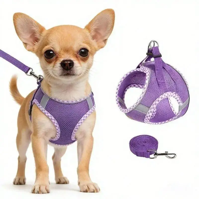 Dog Harness and Leash Set for Small Medium Large Dogs, No Pull Adjustable Step-in Dog Harness with Reflective Strip, Soft Mesh Puppy Vest Walking Harness, Lightweight Pet Walking Gear for Daily Walks, Training & Outdoor Use