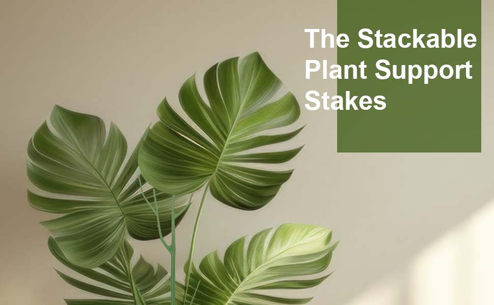 5 Pack Stackable Plant Stakes, Climbing Plant Structures for Monstera, Pothos, Philodendron Plant Stakes for Indoor Plants