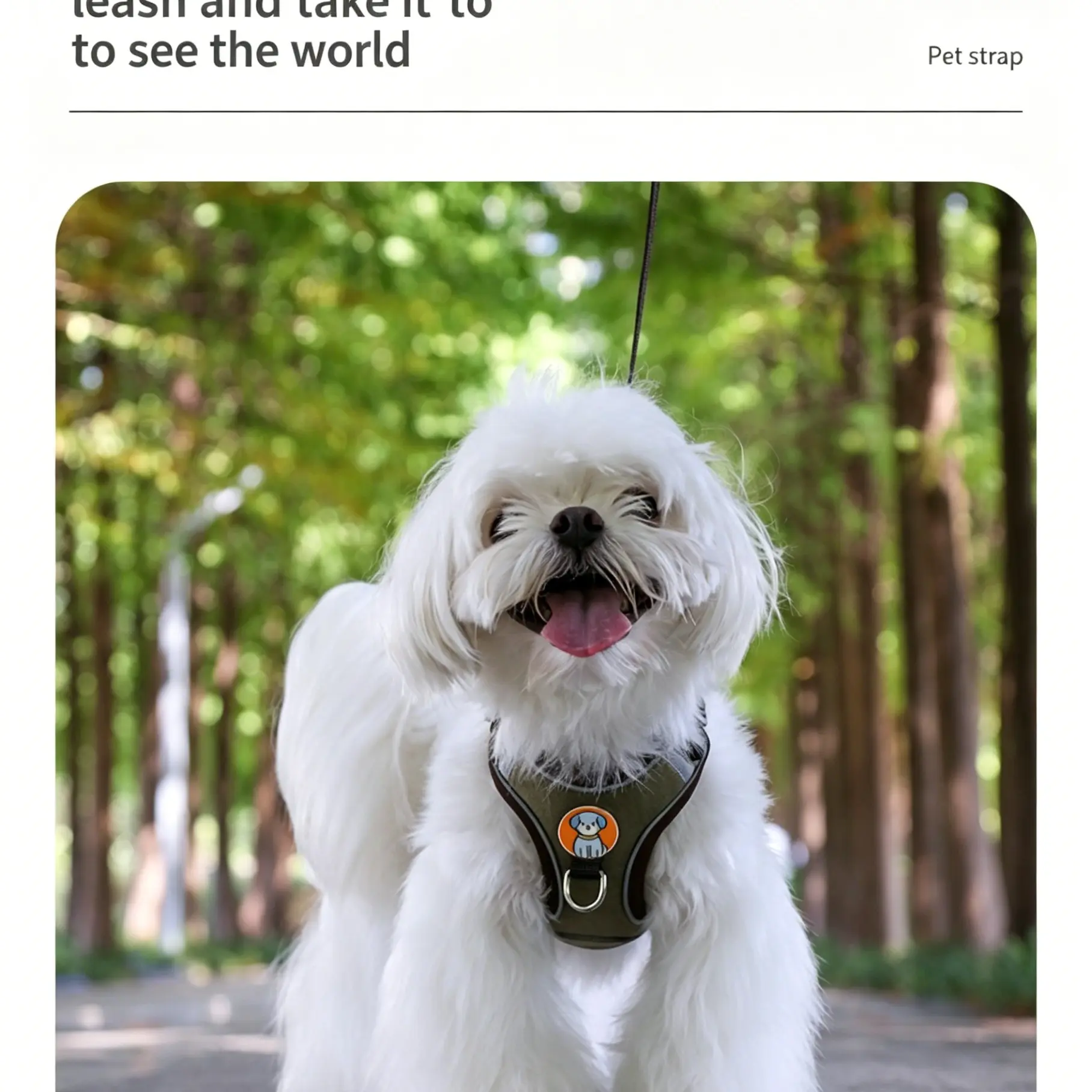 Pet Harness Leash for Small Dogs, Bichon Frise Walk Rope, Anti-Slip Dog Lead, Comfortable Chest Strap, Ideal for Daily Use