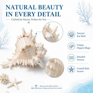 2pcs Natural Spiky Sea Shells, 10-12cm Large Conch Shell Aquarium Decor, Fish Tank Landscaping, Coastal Beach Display, Home Decor