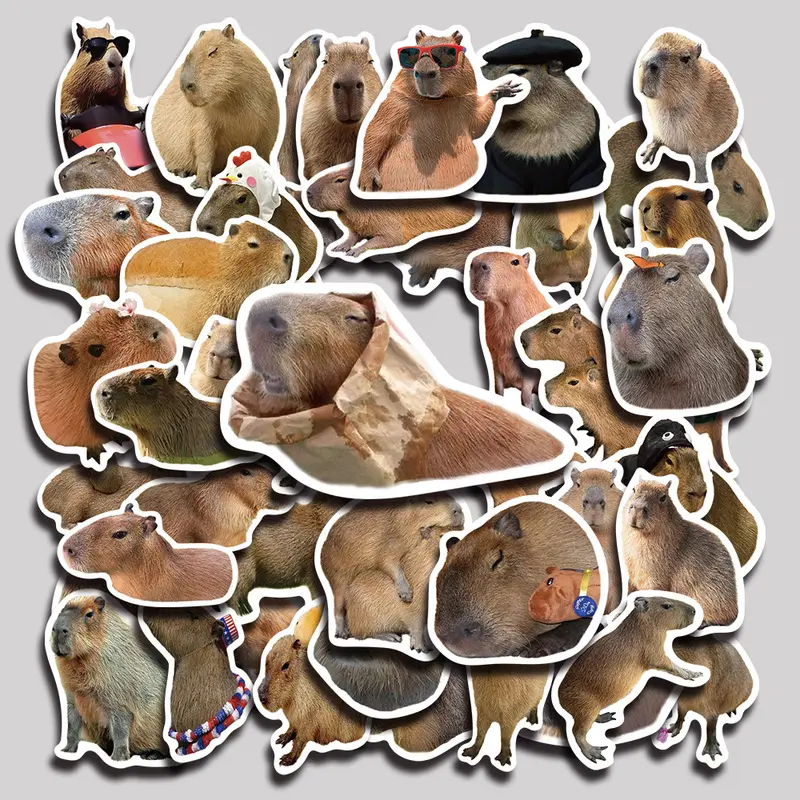 50PCS Capybara Aesthetic Vinyl Stickers Pack for Laptop Water Bottle Phone Case Skateboard Journal Scrapbook DIY Decoration