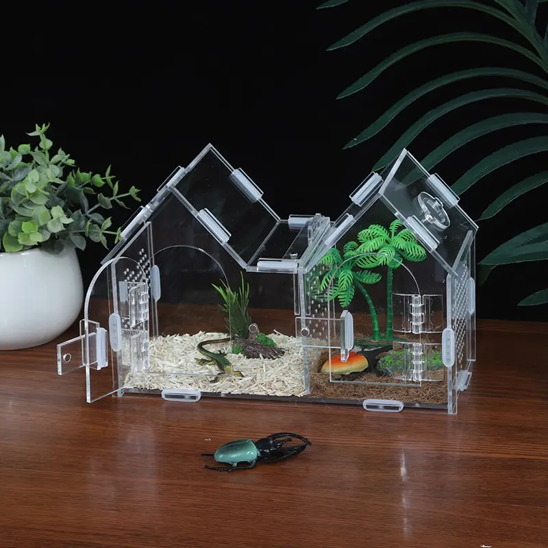 Jumping Spider Enclosure, Dual Magnetic Doors & Observation-Feeding Windows, Acrylic Reptile Habitat Kit, Pet Terrarium for Spiders, Tarantulas, Snails, Lizards & Small Reptiles (9.25×4×5.9inches)