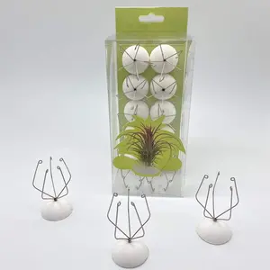 10 Pack Wall Mount Air  Holder (Adhesive Tape,Stainless Steel Tillandsia Air  Planter) A  Set of Air  Containers for Creating Tillandsias Art Display  Wall (Small)