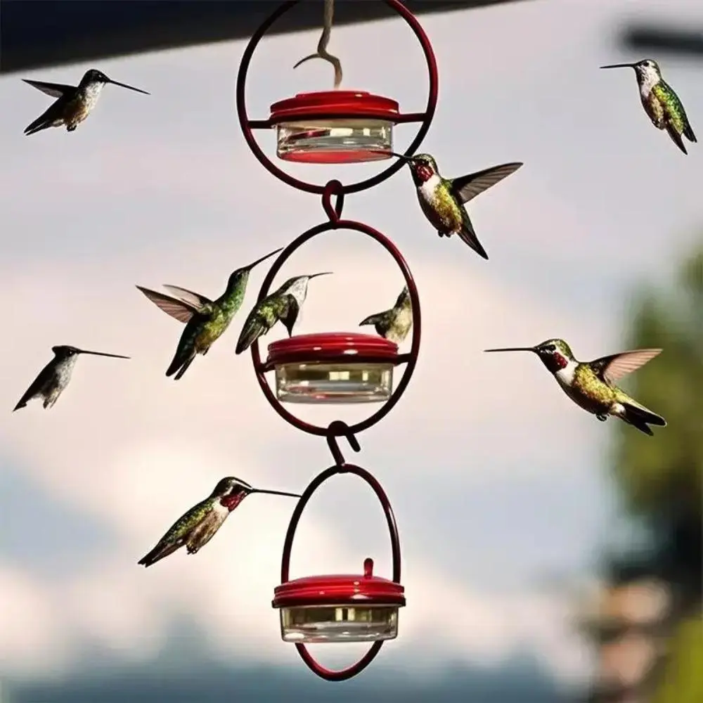 3Pcs Hanging Hummingbird Feeders, Transparent Red Plastic Bottle with Built-in Perches, Durable Metal Frame for Outdoor Garden Wild Bird Feeding