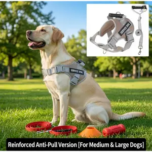 Dog Harness & Leash Set, Trending No Pull Walking Vest, Pressure-Free Chest Strap, Adjustable Lead for Medium Large Puppy Golden Retriever Labrador, Breathable Soft Strap for Daily Outdoor Walking Training