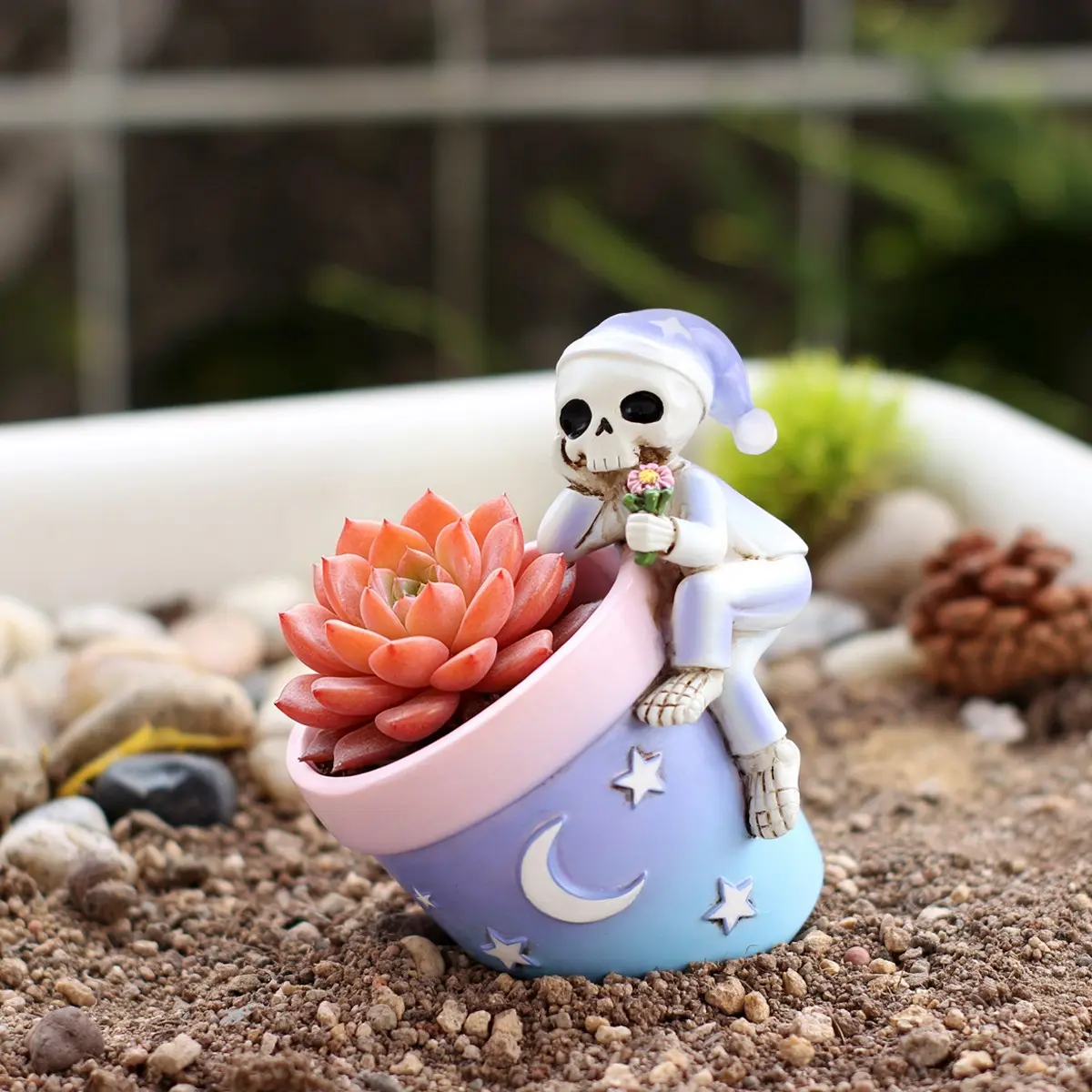 Creative Skull Flower Pot, Halloween/christmas Fun Gift, Succulent Planter, Home Balcony/office Desktop Decoration, Unique Design