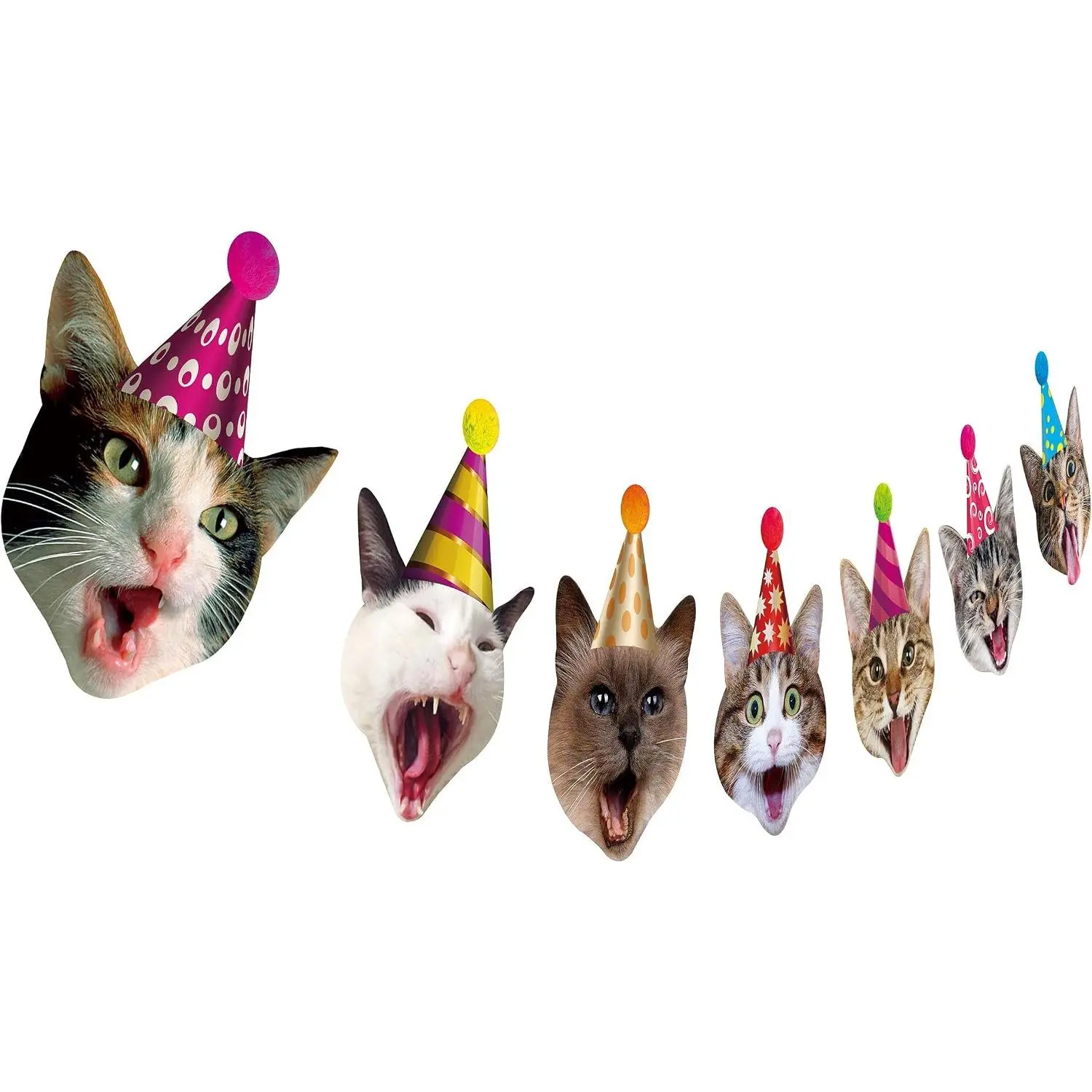Kitten Themed Photographic Faces Birthday Garland - Room Wall Backdrop Prop, Festive Party Bunting Decoration