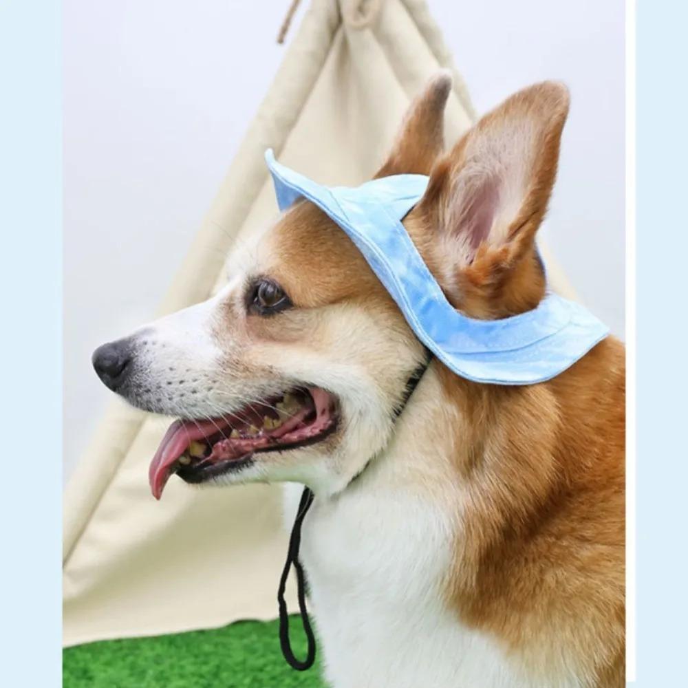 Dog Cotton Sun Hat With Ear Holes Round Brim Puppy Kitten Bucket Hat Outdoor Sun Protection Pet Caps for Small Medium Cat Dogs Dog Cotton Sun Hat With Ear Holes Round Brim Puppy Kitten Bucket Hat Outdoor Sun Protection Pet Caps for Small Medium Cat Dogs