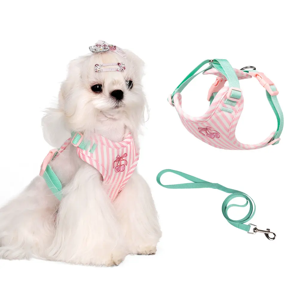 Plush Foam Vest-Style Anti-Pull Dog Harness and Leash Set, Adjustable Embroidered Pet Harness for Small-Medium Puppies Walking Training, Harness + Leash