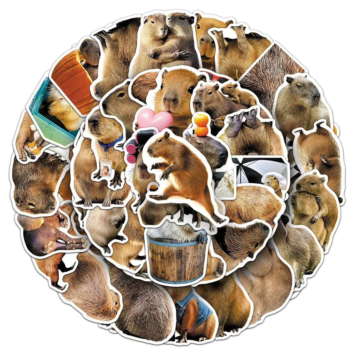 100sheets two sets of repetition capybara cute little animal stickers travel case glass creative stickers