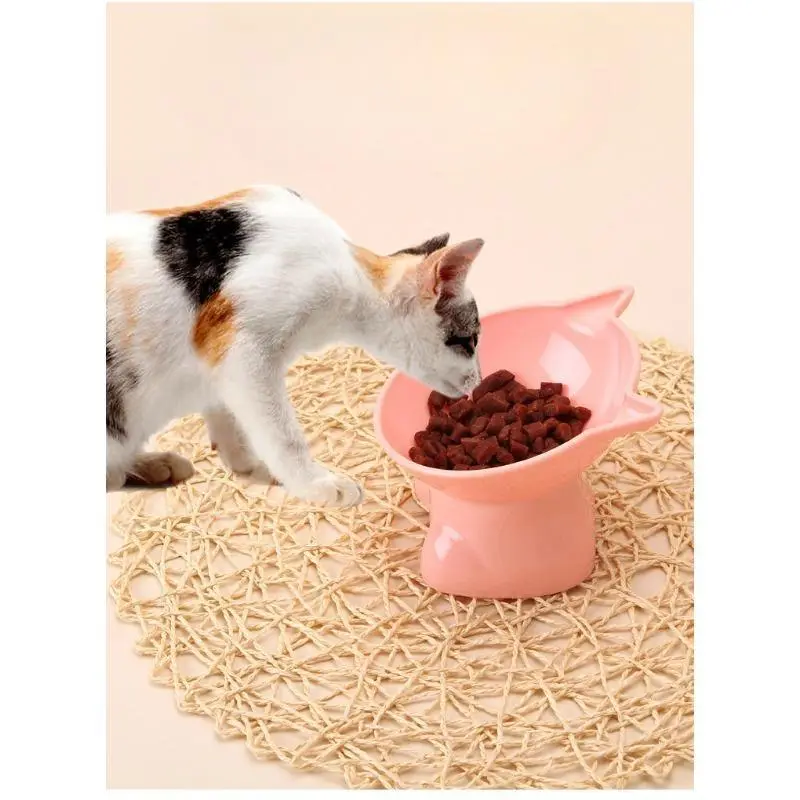 Elevated Cat Bowls, 15° Tilted Raised Cat Food Bowl Anti-Vomiting, Raised Cat Food and Water Bowl Set for Protecting Pet's Spine, Shallow Cat Food Dish Whisker Friendly for Small Kitten Pet(2pcs)