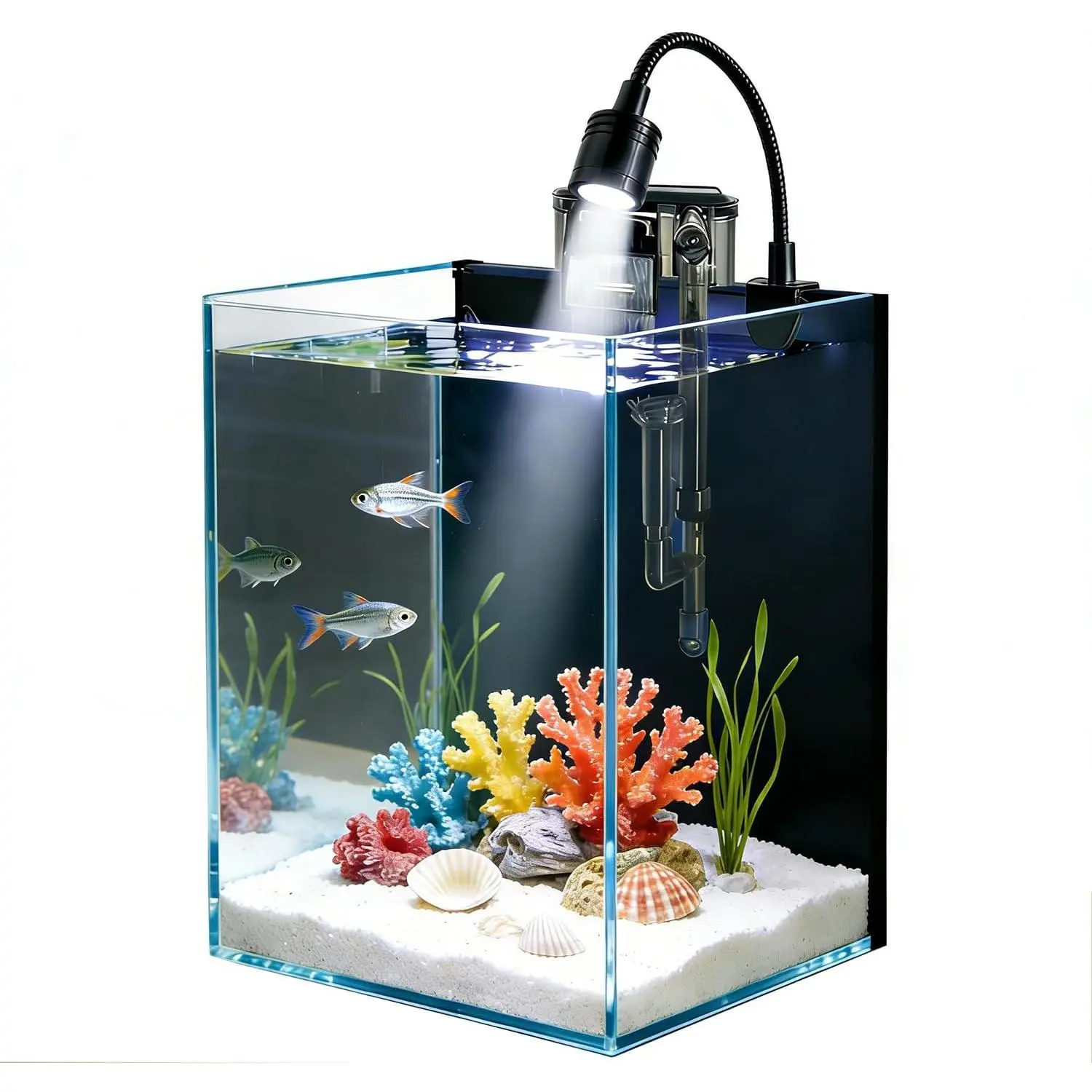 Small Nano Glass Fish Tank Starter Kit with Filter, LED Light for Shrimp, Small Fish, Betta (1.5 Gallon)