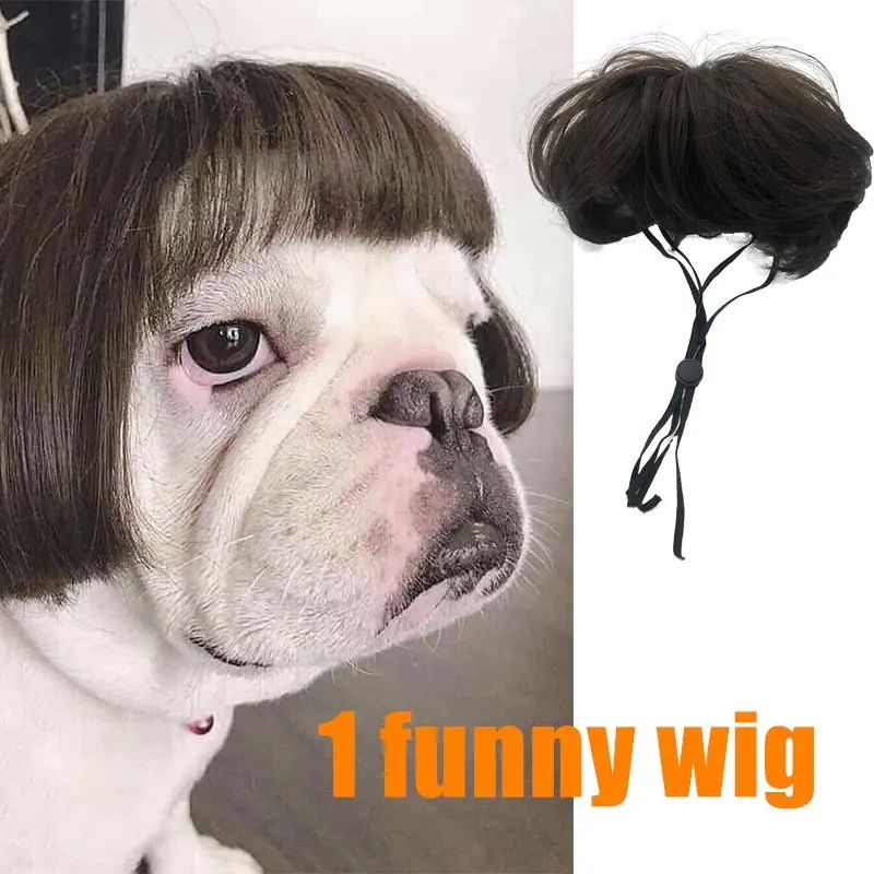 Funny Pet Dog Wig, Bobo Head Bangs Style Hair Accessory, French Bulldog Shiba Inu Costume, Funny Photo Props for Pets