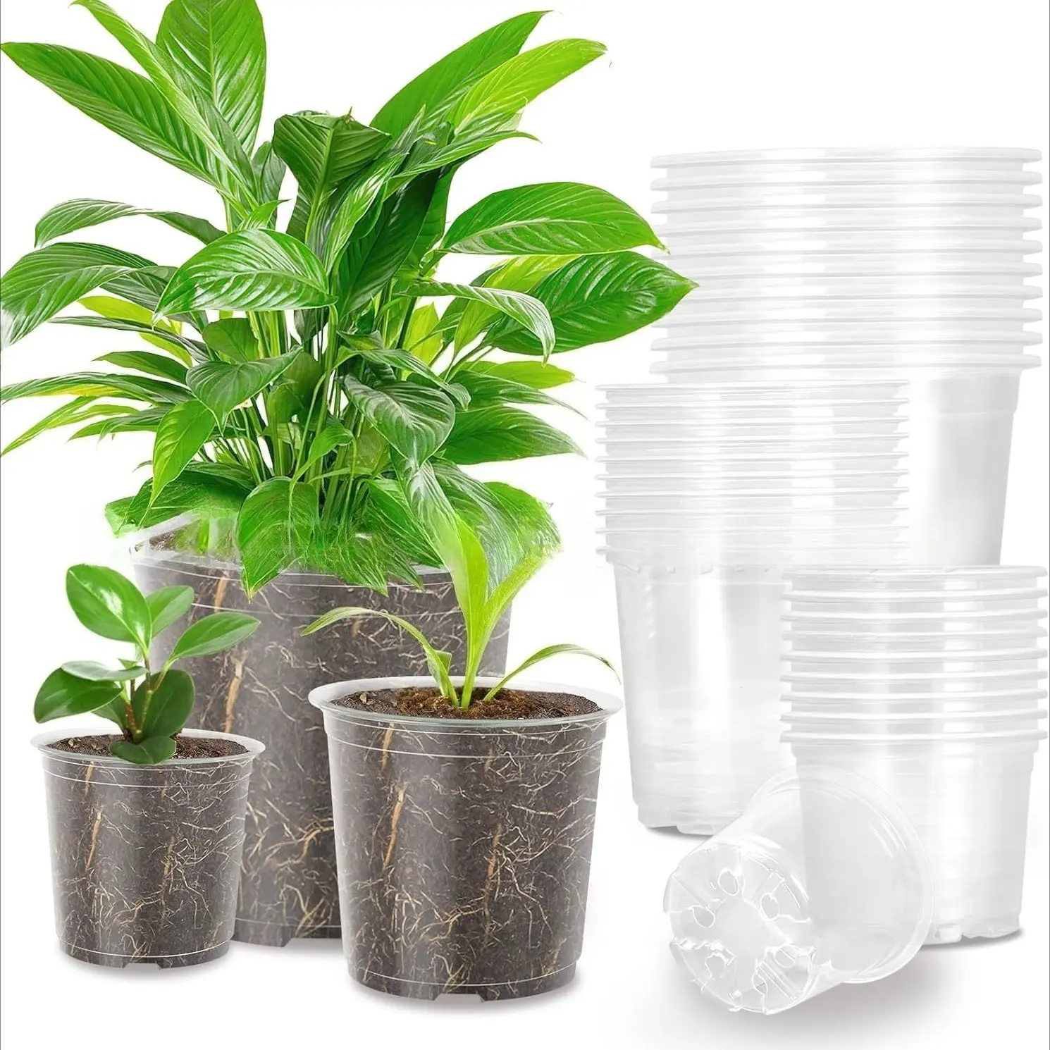 20pcs Transparent Plastic Seedling Pots with Drain Holes, Lightweight Indoor/outdoor Succulent Flower Containers, Durable Planters