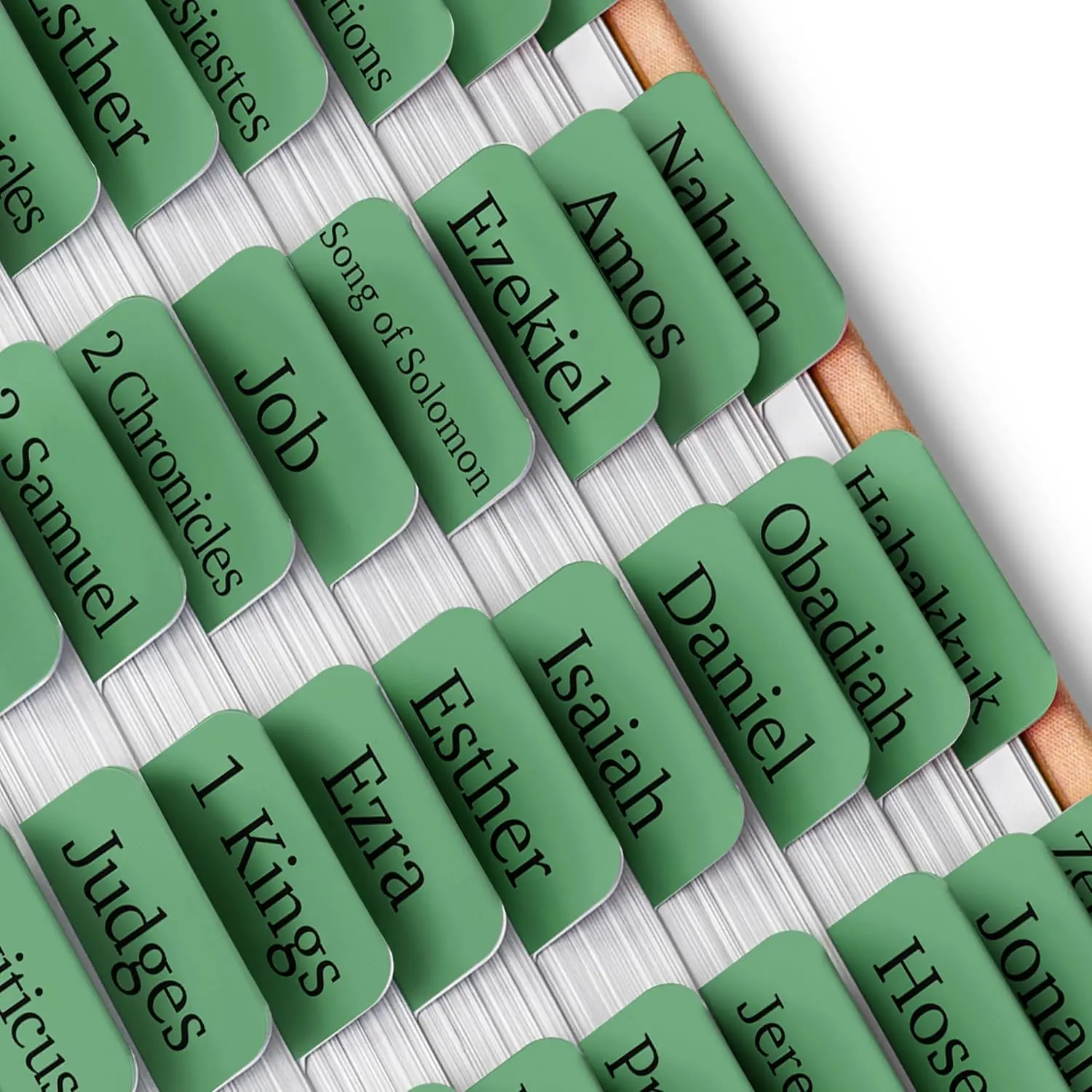 - Laminated  Tabs, 75 count, Easy-to-Read & Apply |  Resistant Index Tabs for Women and Men,  Study, Journaling, Prayer & Scripture Navigation