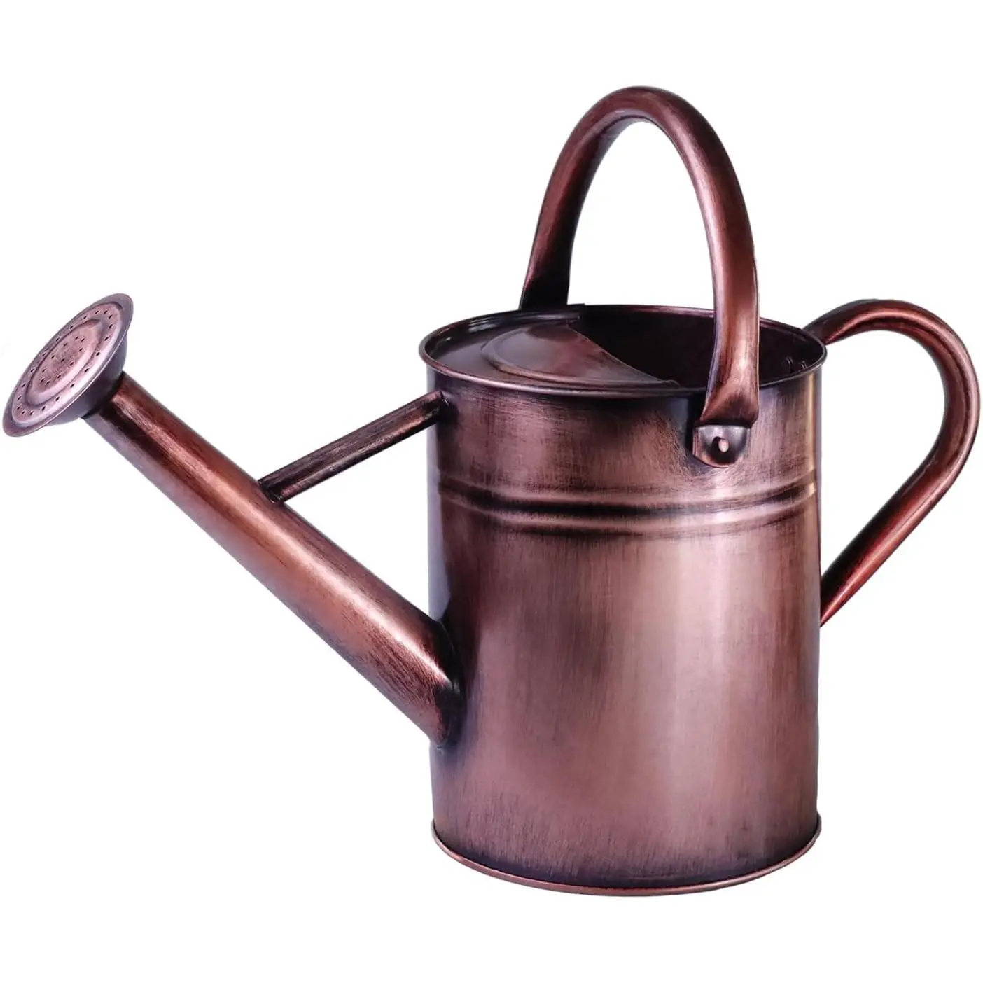 Metal Watering Can for Outdoor Plants, 1 Gallon Galvanized Steel Watering Can with Removable spout for Outdoor & Indoor Use, Perfect for Garden Flower, Houseplants, Copper