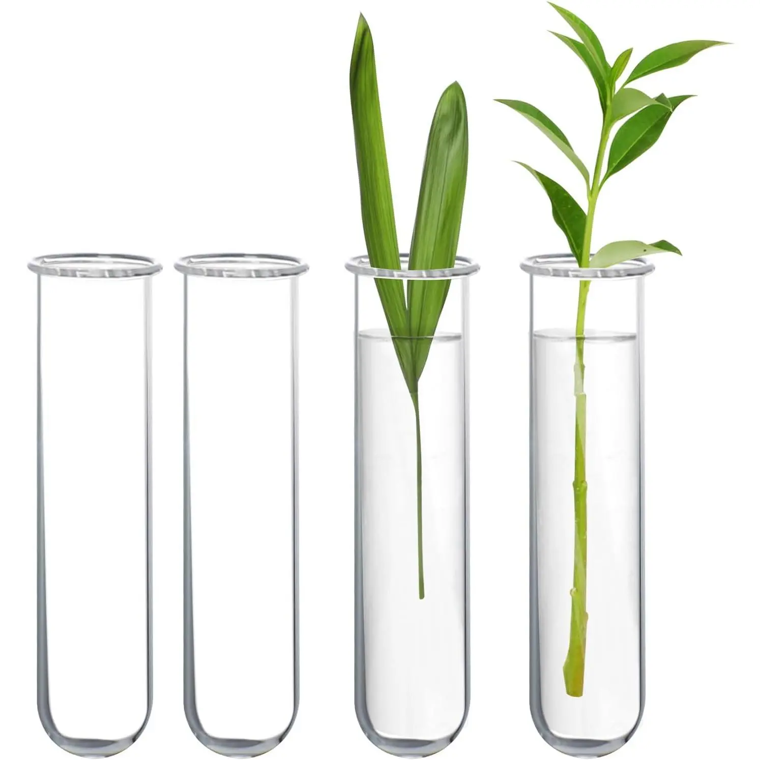 Glass Propagation Stations Accessories Glass Test Tubes Tiers Planters Wall Terrarium for  Office  Hanger Flower Vases Wall Decor Hydroponic Cuttings (4 Tube Vases) Clear