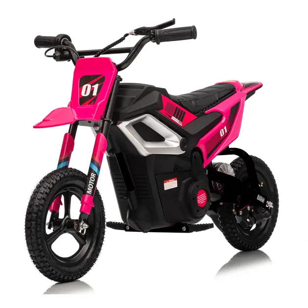 Garvee 24V Kids Electric Dirt Bike, 350W Brushless Motor, Up to 14 MPH, 10Ah Battery 12-Mile Range, Disc Brake, Rear Shock, Key Start, wireless, Leather Seat, Ages 10+ Green/White/Red