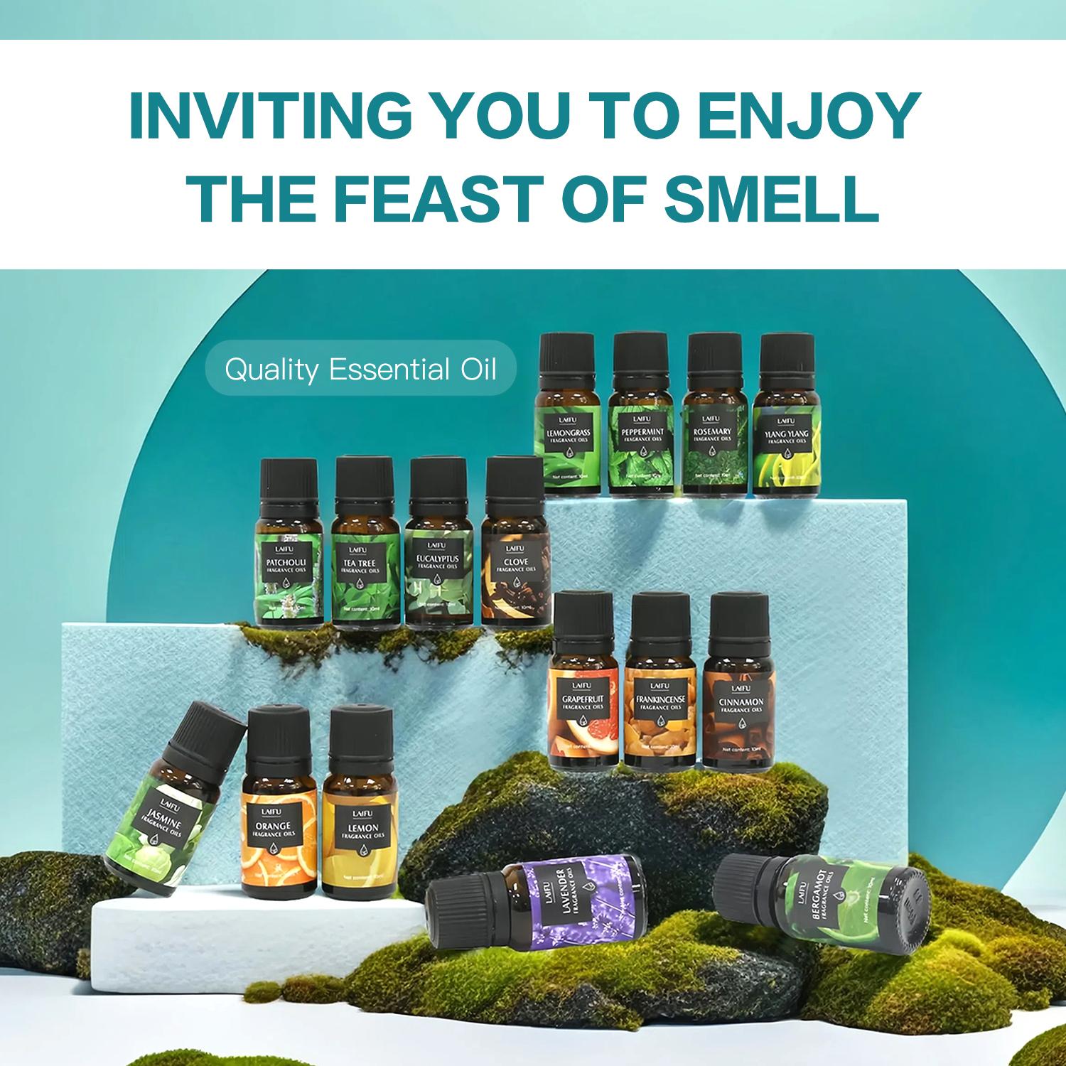 Essential Oils Set for Diffuser, Aromatherapy, Candle Making, Perfume, Home Fragrance, Humidifier, Ideal Gifts, Included Rosemary, Jasmine, Grapefruit, Lemon, Patchouli, Clove and More (16x10ml)