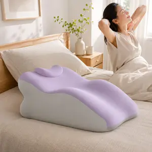 Couple Shared Home Relaxing Lumbar Pillow with Small Cushion, Multi-Scene Support Pad, Washable, Durable, Comfortable, Dxz-06