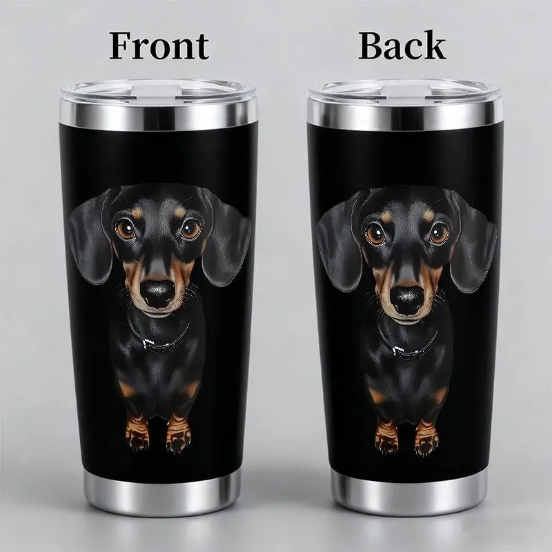 "Dachshund Portrait" Pet-Themed Design 20oz Stainless Steel Cup,Thermos Cup with Lid,Reusable Drinking Cup,High-Quality Water Bottle for Iced Coffee,Beer,Juice,Milk,Cold Drinks,Fashionable,Perfect Gift for Sarcasm Lovers,Friend,Family,Coffee