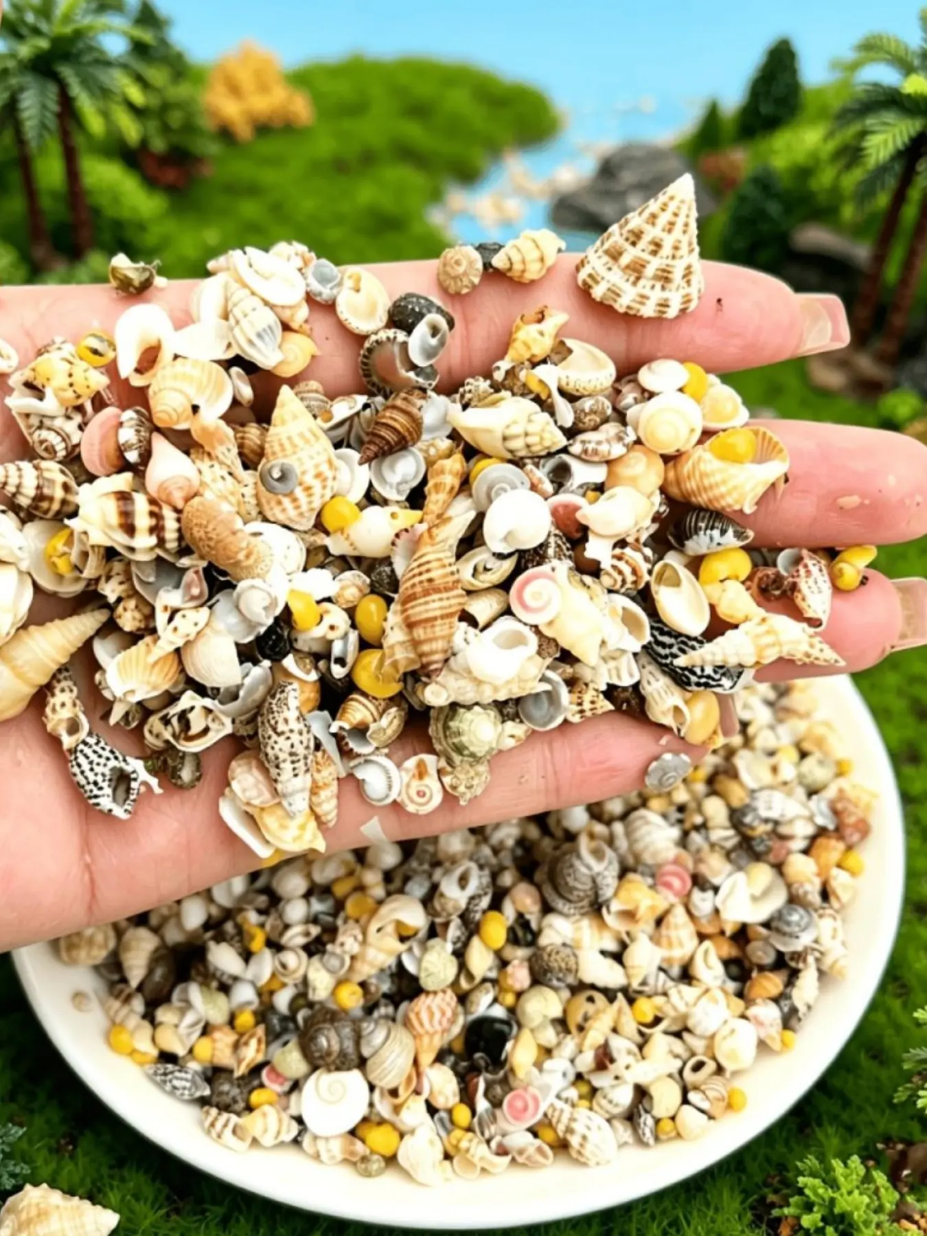 A pack contains mini conches, shells, starfish, and other small ocean-themed ornaments. Suitable for miniature landscape decoration, ocean-themed parties, weddings, home decoration, fish tank and vase filling, and DIY craft making.