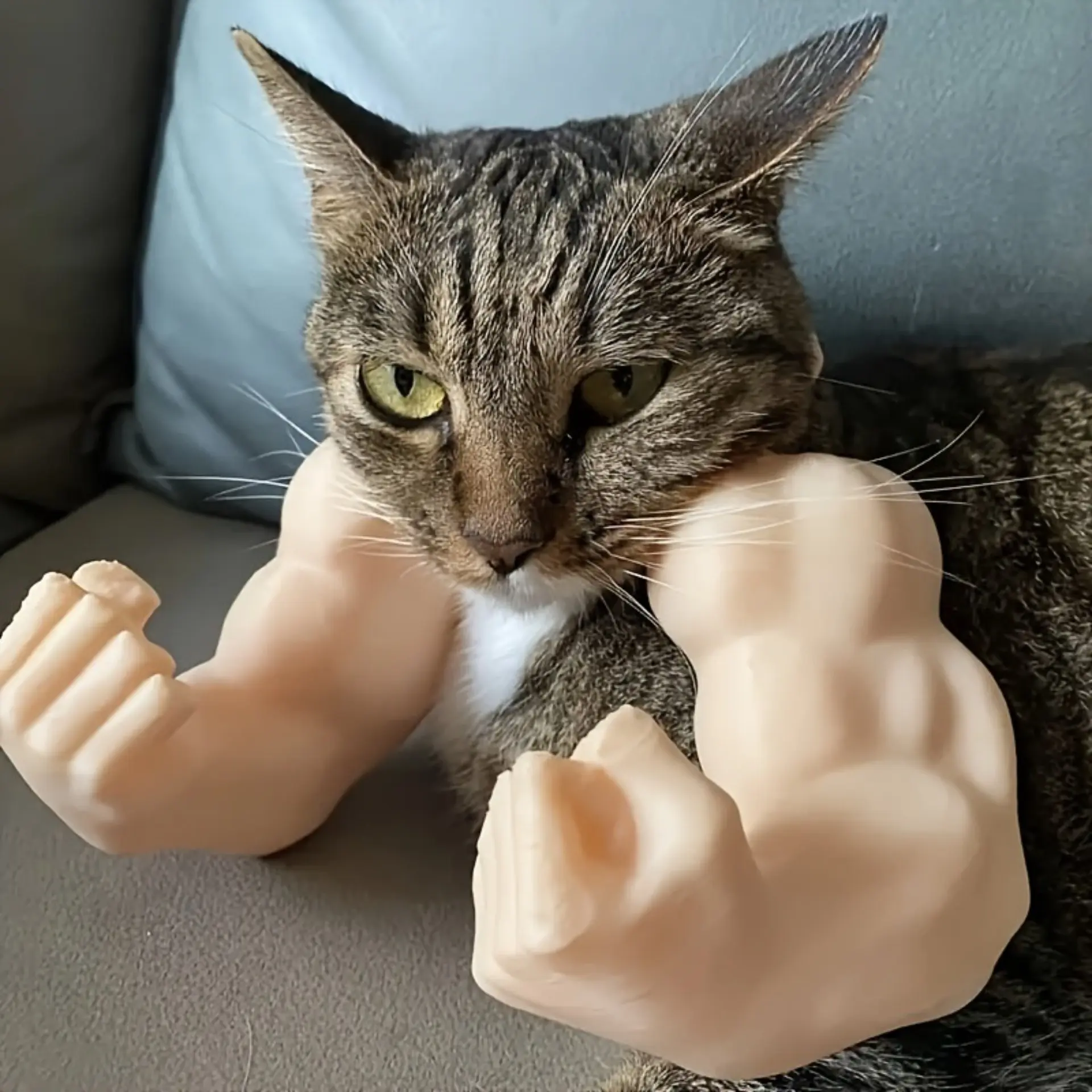 Pet 3D Muscle Arm Band, Fun Fashionable Pet Accessory, Giant Funny Pet Arm, Photo Prop for Owner and Pet Interaction, Suitable for Small to Medium Pets