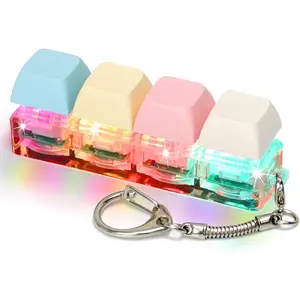 Keyboard Fidget Toys for Adults Keyboard Clicker with LED Light Keychain Fidget Sensory Fun Toys for Anxiety Decompression (Macaroon1, 4 in 1)fidget toys