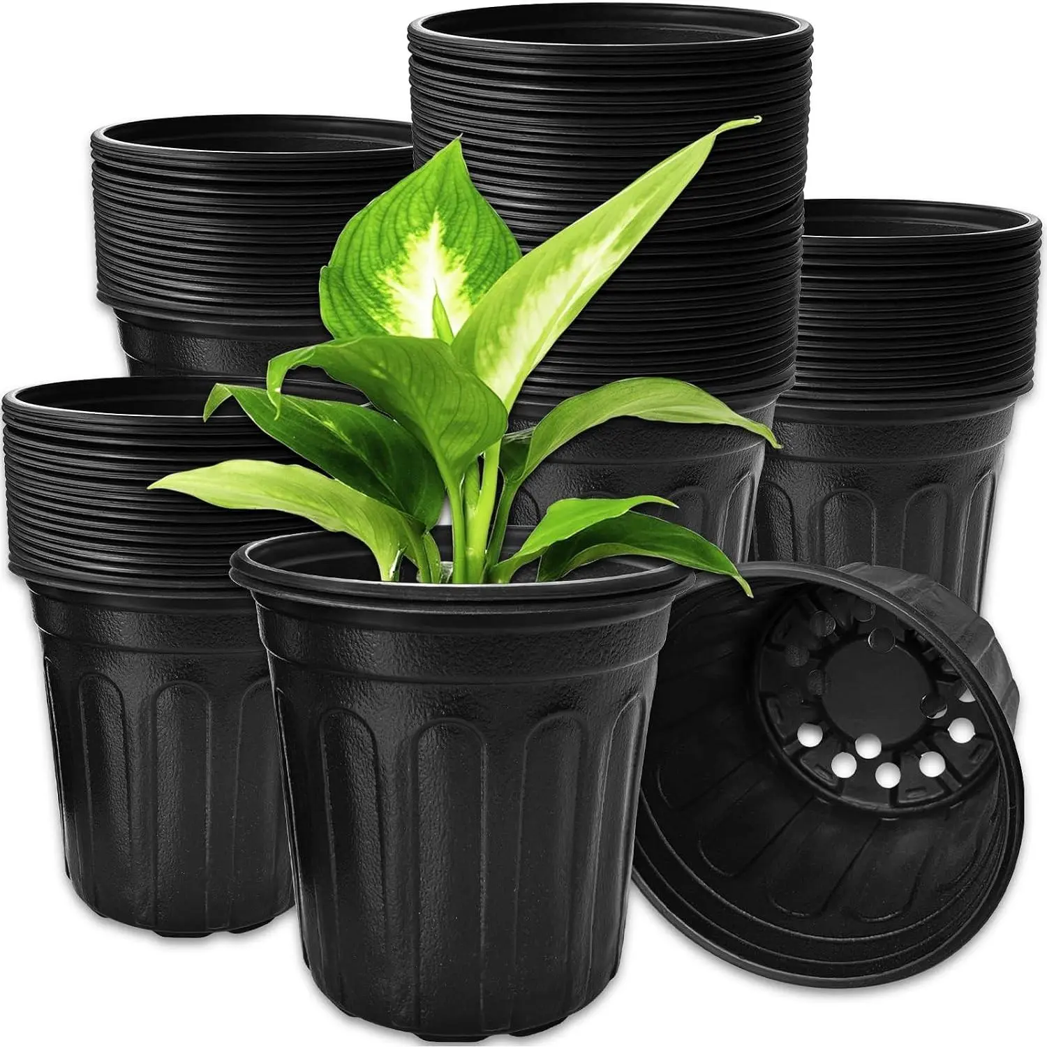 60 Pack 1 Gallon Flexible Plant Nursery Pots - Thickened Soft Plastic Seed Starting Containers with Drainage Holes for Flower Seedlings, Succulents, Cuttings, Transplanting (Black)Gift
