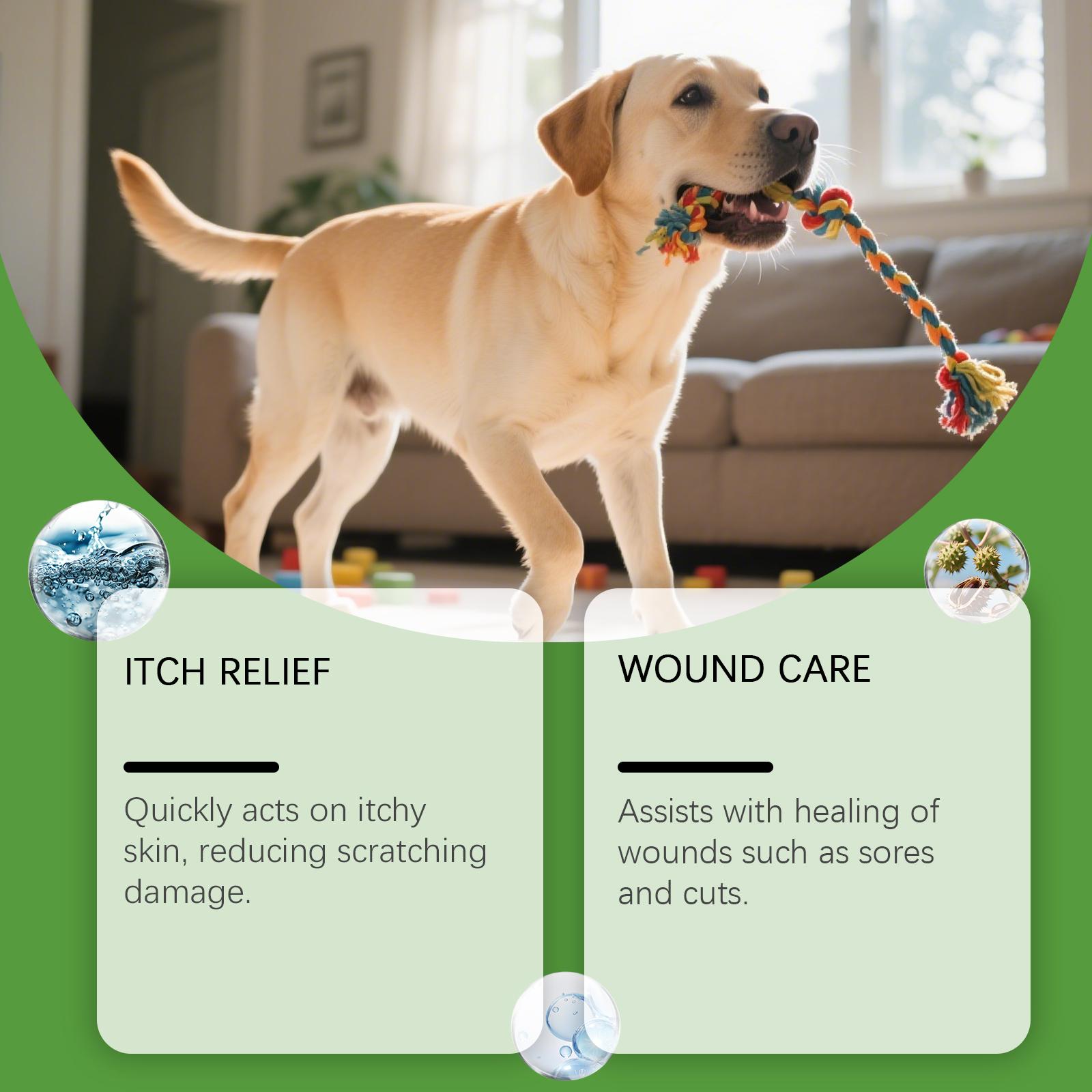 Yegbong Pet Skin Spray with Colloidal Silver & Centella Asiatica for Itchy Skin Relief and Wound Care 100ml