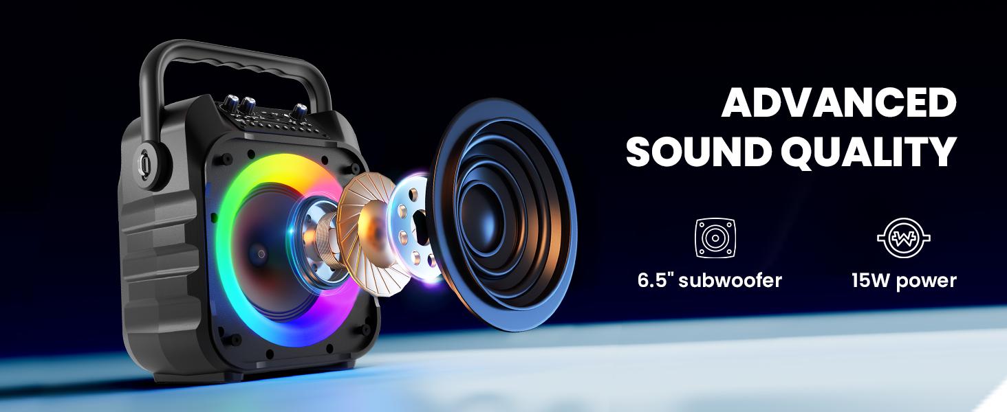 Karaoke Machine with Two Wireless Microphones, Portable Karaoke Machine for Adults & Kids, Portable Bluetooth Speaker with PA System, LED Lights, Supports TF Card/USB, AUX in, FM, USB,TWS (Black)-