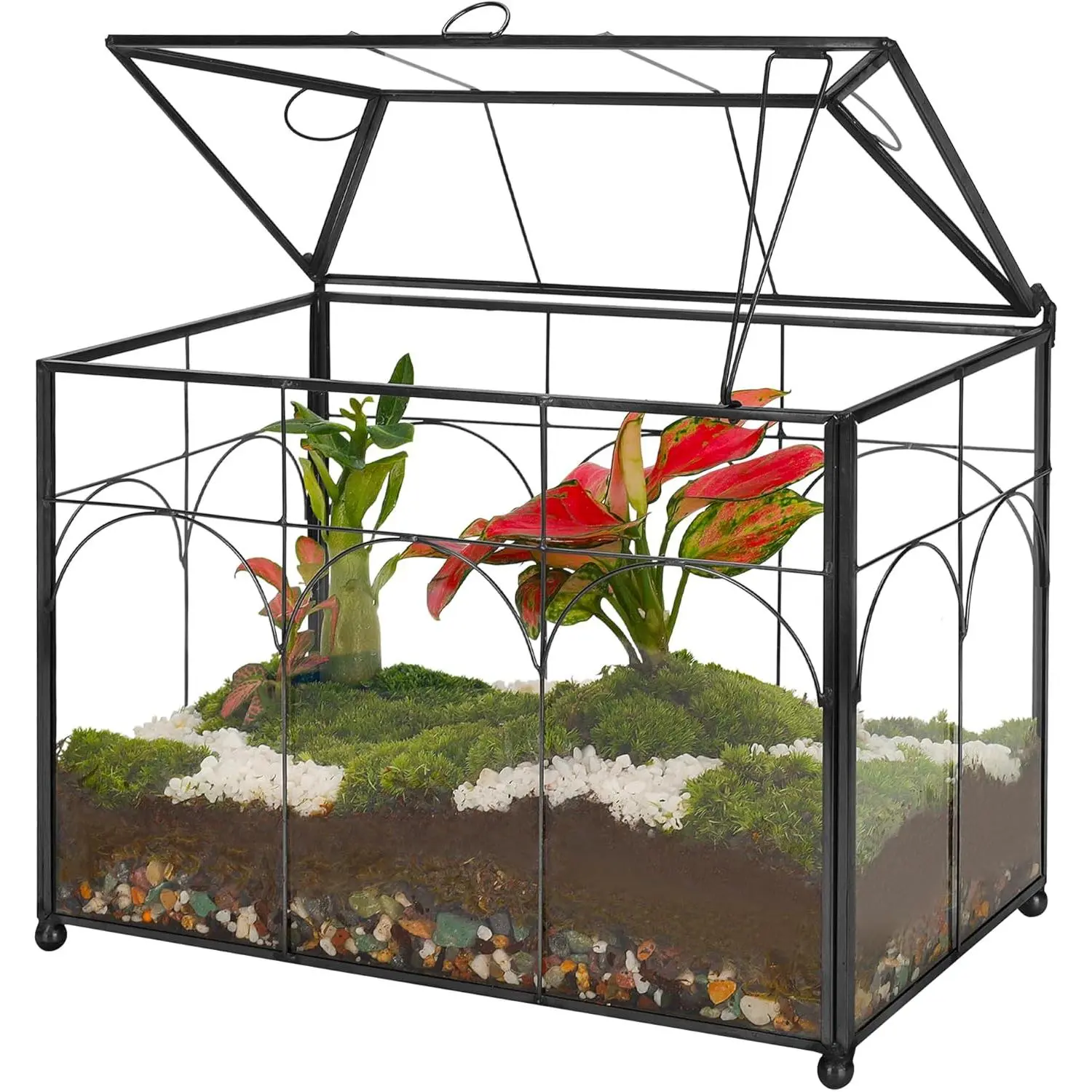 Handmade Glass Planter Terrarium with Lid, Indoor Tabletop Centerpiece Display Box Modern Decor DIY Gift Plant Terrarium Container for Succulent Cacti Air Plants Flower (Black)