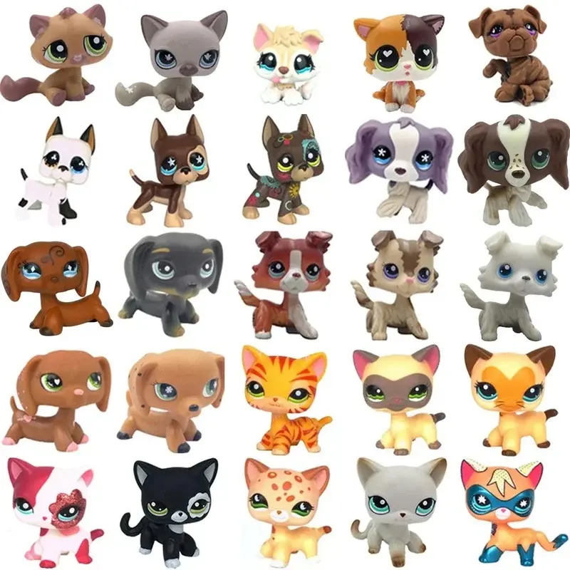 Rare pet toy Stands Short Hair Kitten Dog Dachshund Collie Spaniel Great Dane Original Bobble head toy lps