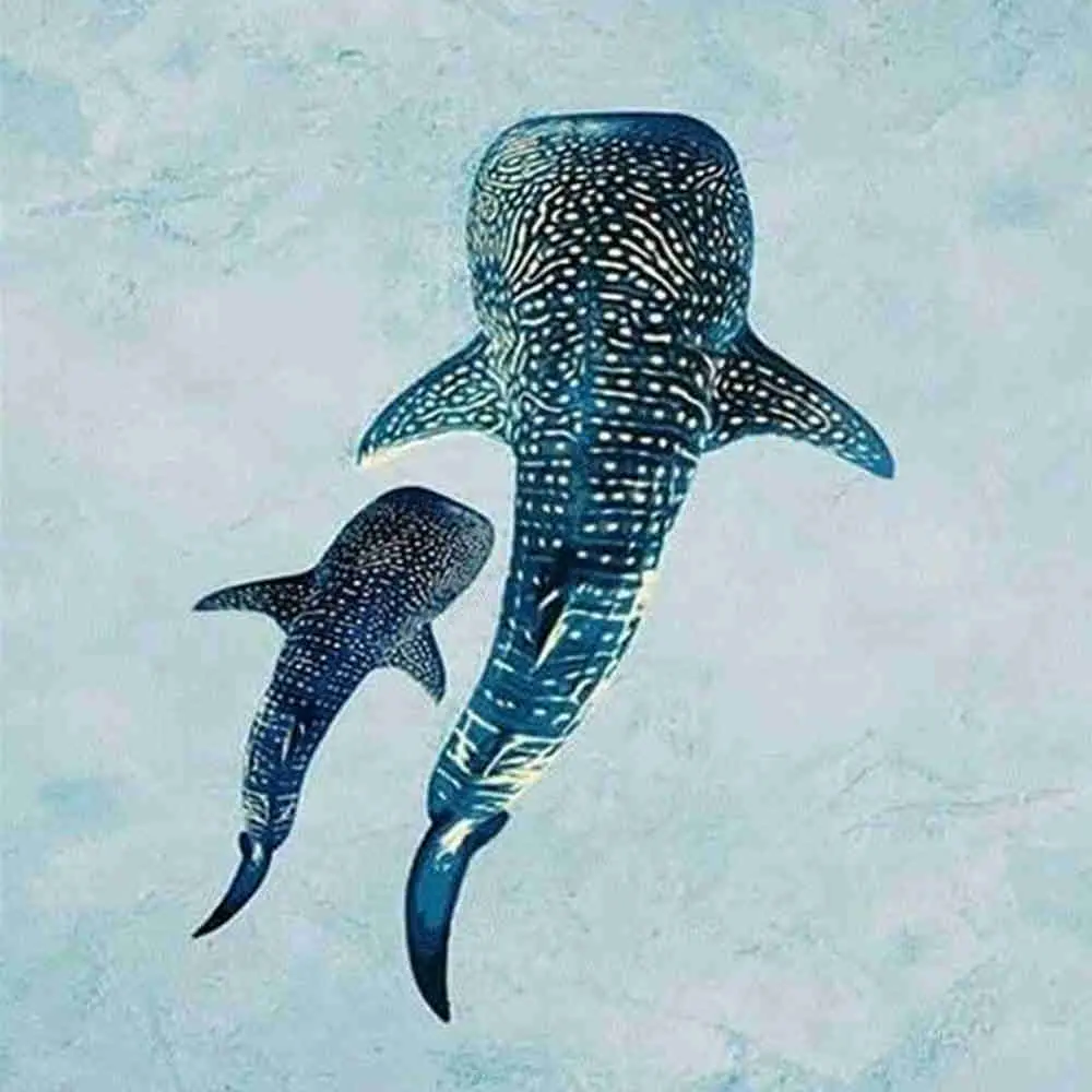 Whale Shark Family Diamond Painting Kit, Majestic Spotted Whale Shark Mother and Calf Swimming in the Ocean 5D Round & Square Rhinestone DIY Craft Cross Stitch, Minimalist Blue Ocean Art Decor for Marine Life and Nature Lovers