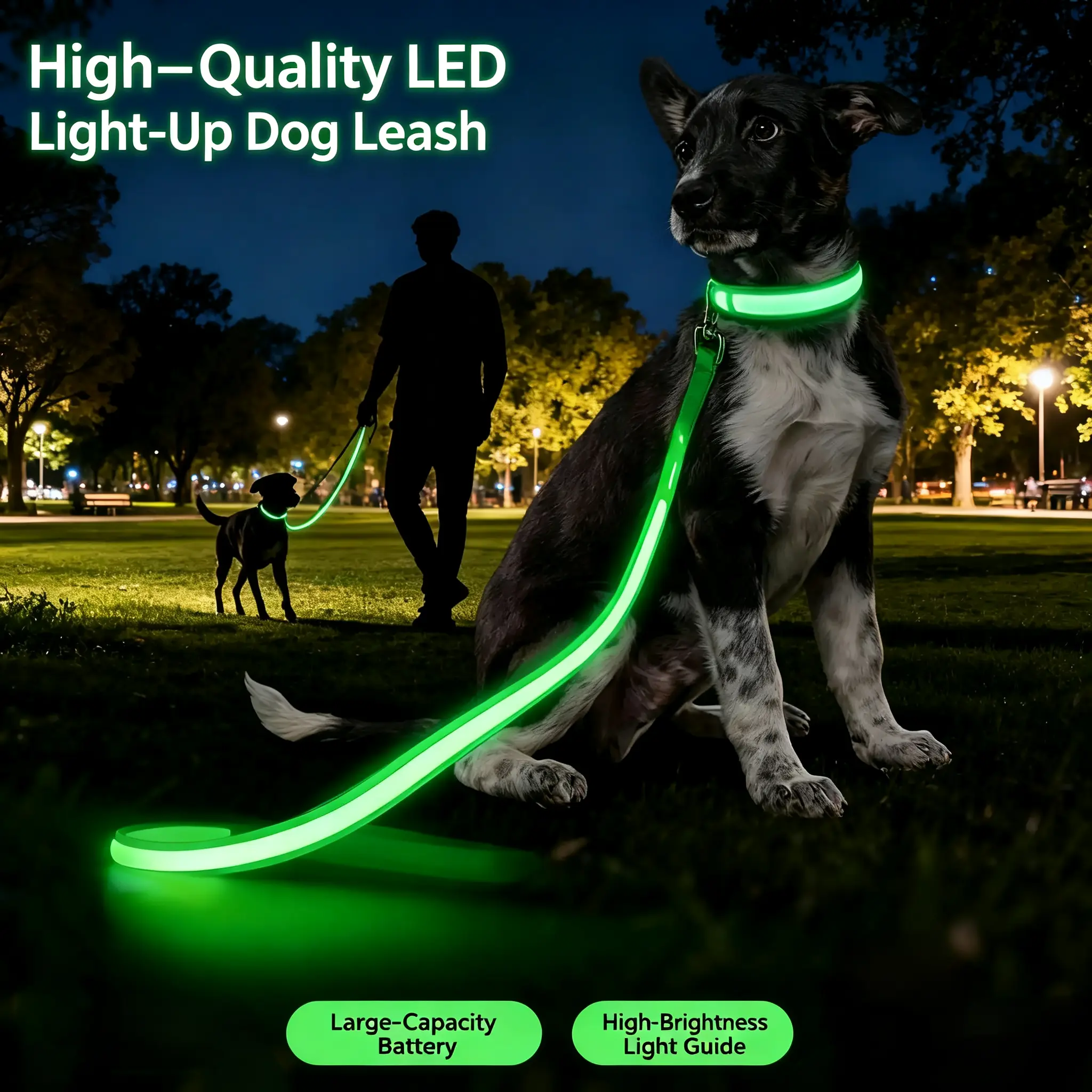 LED Light-Up Anti-Lost   - USB-C Rechargeable, Nylon, Non-Slip, Detachable Safe Nighttime  & Leads  3 Flashing Modes, High Visibility