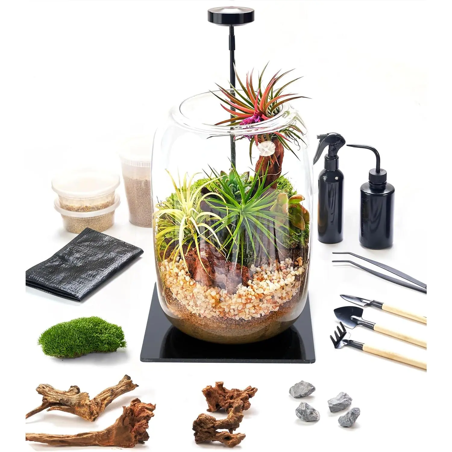Terrarium Kit with Grow Light – 24-Piece DIY Glass Terrarium Set with Tools, Moss, Driftwood, Soil & Pebbles – Mini Gardening Kit for Air Plants, Succulents & Indoor Desk Decoration Gift