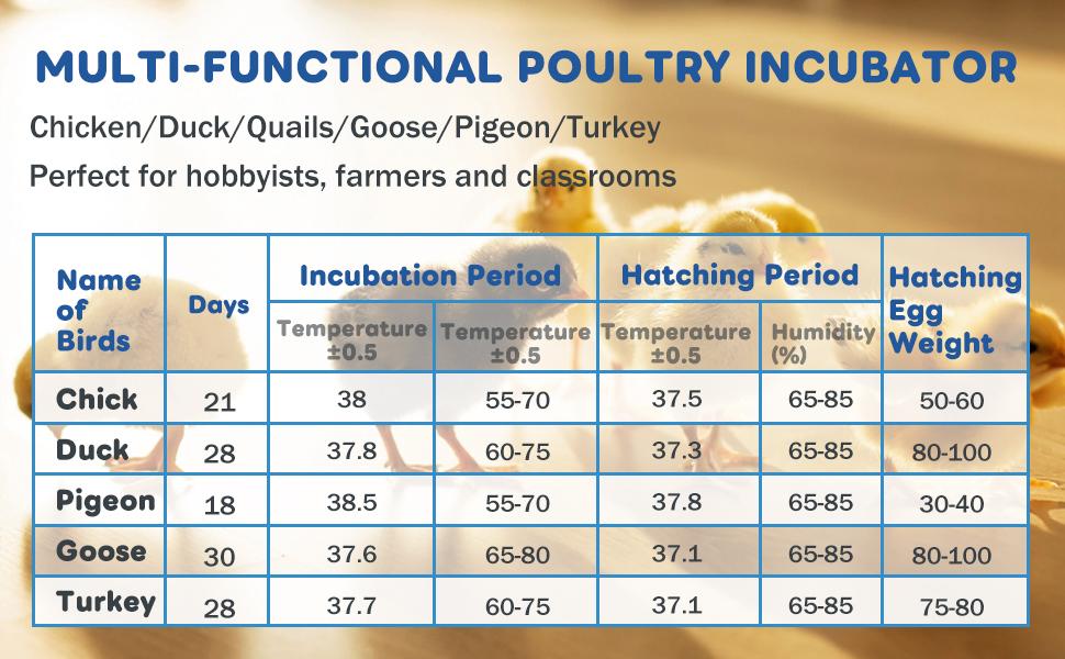 Automatic Egg Incubator For 12-24 Eggs, With Temperature & Humidity Control, Auto Egg Turning, 360 °   View Window For Chicken/Duck/Quail/Turkey Eggs (Built-In Candler & Quiet Design)