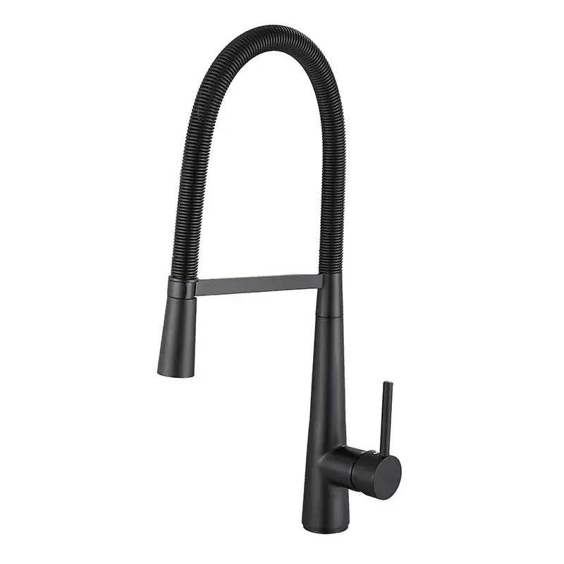 Brass Hot and Cold Water Mixing Faucet, Retractable Showerhead, Modern Design, Matte Finish, 360-Degree Rotation, Kitchen Sink