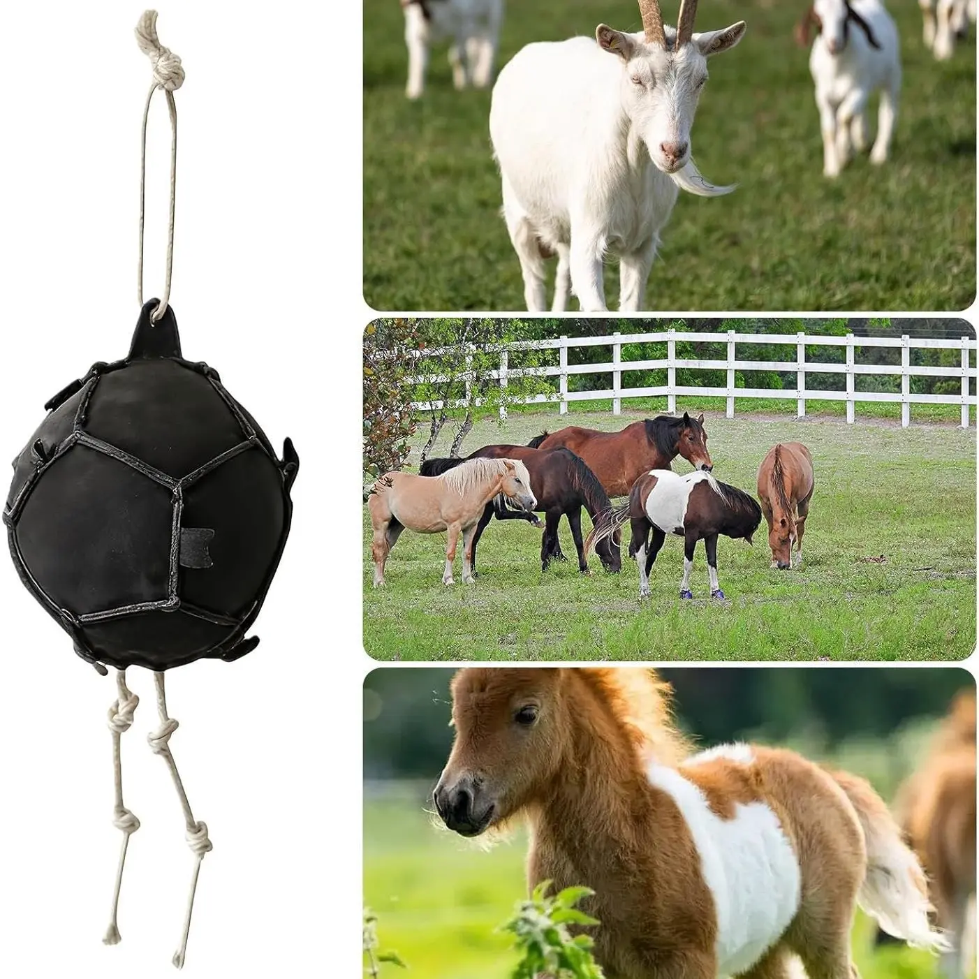 New Horse Toy Ball, Carrot Training Feeding Ball, Equestrian Supplies, Fun and Educational Plaything for Horses