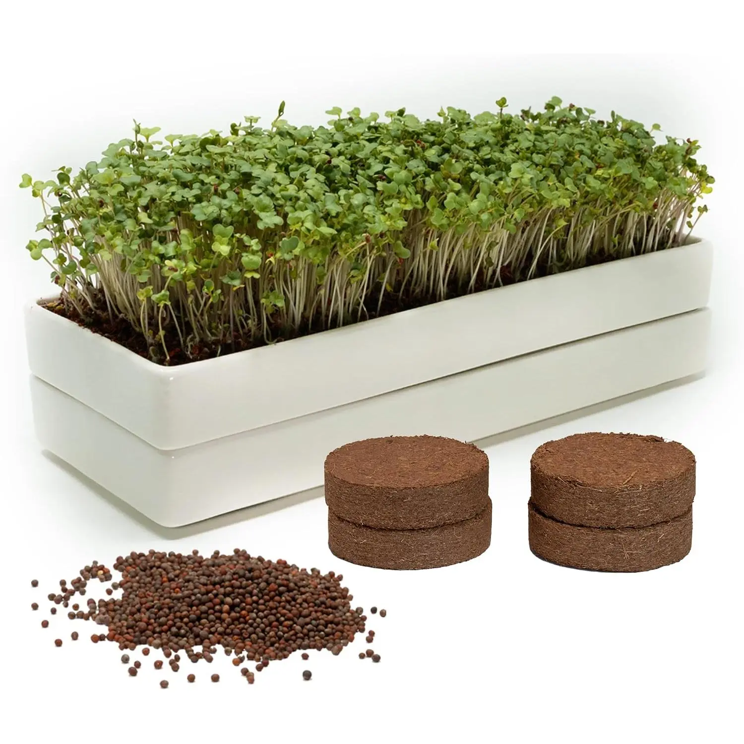 Microgreens Growing Kit — 2 Ceramic Trays, Coconut Coir & Seeds | Indoor Windowsill Grow Kit | Gift for Plant & Food Lovers