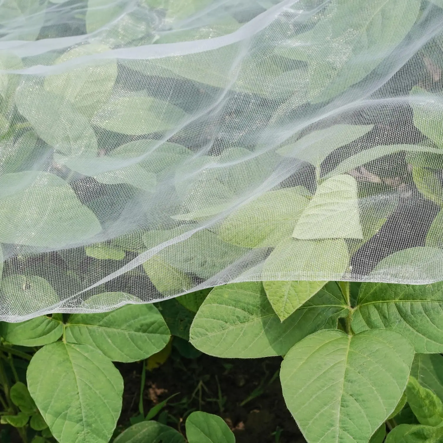 Ultra Fine Garden Netting Mesh Fabric, 4'x10' Plant Protector Cover Pest Barrier for Raised Bed, Greenhouse Use to Shield Tree, Vegetable, Flower, Fruit Plants