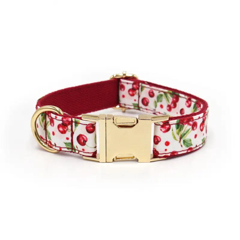 Floral Print Dog Leash and Collar Set, Adjustable Puppy Collar with Matching Lead, Durable Soft Pet Walking Set for Small Medium Large Dogs, Cute Printed Dog Collar and Leash for Daily Walk Training