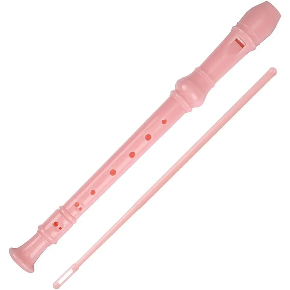 Soprano Recorder Descant Flauta Recorder 8 Hole ABS Clarinet  Style Treble flute C Key with Fingering Chart Instructions with Cleaning Rod Bag