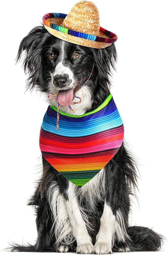 Mexican colorful rope pet hats for lizards, cats, and dogs, summer straw hats, Cinco de Mayo holiday costumes
