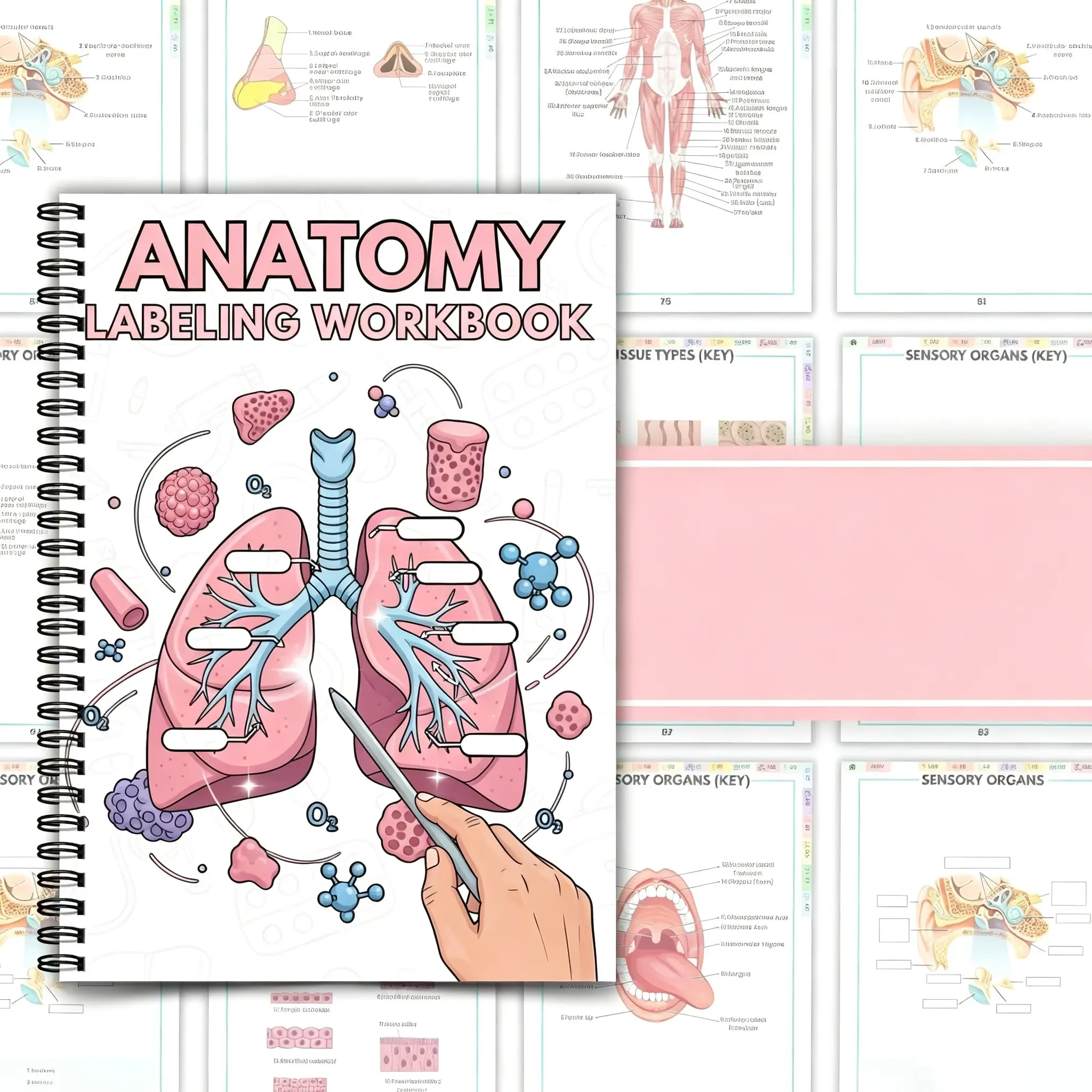 Human Anatomy Annotation Practice Book: Anatomical Learning Guide For Nursing Students College Essentials Learning Materials