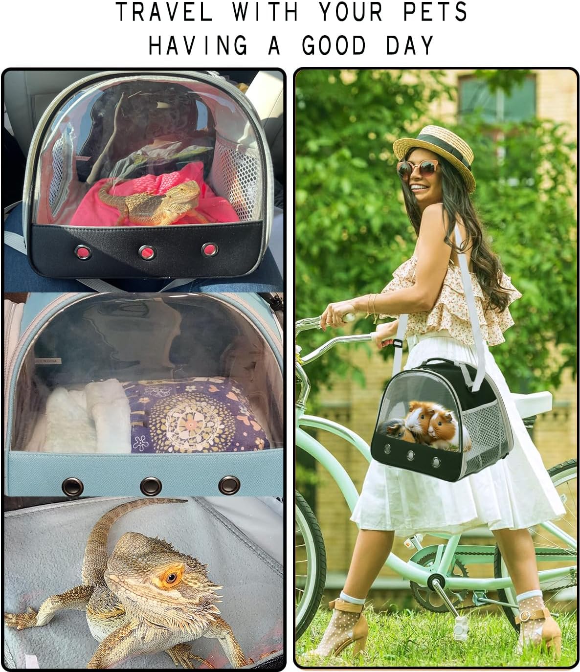 Bearded Travel Carrier,Lizards Carrier, Small Animal Travel Carrier for Sugar Glider Hedgehog Rat Parrot Bird Guinea Pig, Portable Guinea Pig Travel Carrier for 2 (Carrier)