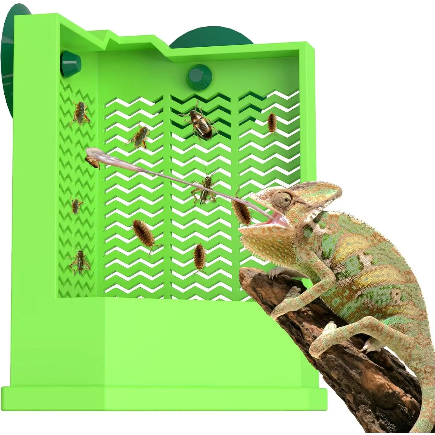 Reptile & Frog Plastic Wall Mount Feeding Bowl, Suction Cup Corner Escape-Proof Insect Food Container for Lizard Gecko Chameleon, Reptiles & Frogs
