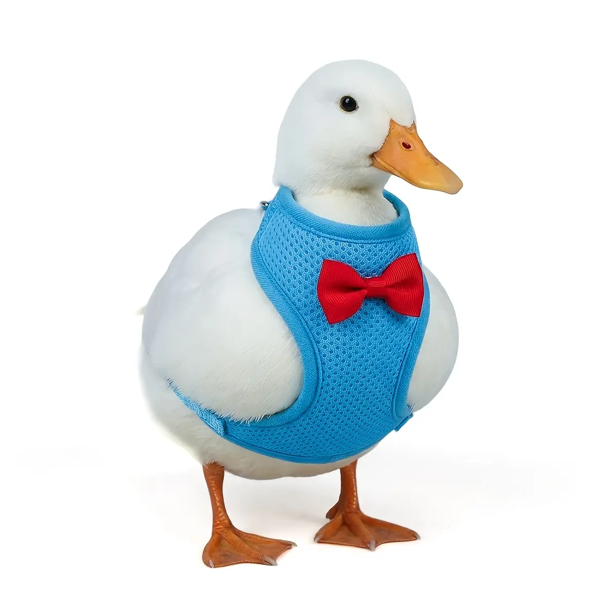 New Adjustable Duck Leash, Chest And Back Harness for Walking Ducks, Call Duck Leash, Goose And Chick Leash, Pet Rabbit Leash, Breathable And Fashionable Small Pet Chest And Back Harness Set