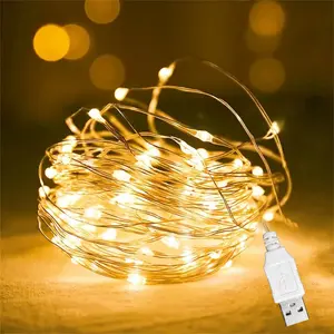 Indoor DIY Multi-scene USB Copper Wire String Lights, USB-powered Bedroom Decorative Fairy String Lights, Wedding Decorative Atmosphere Lights, Halloween, Christmas, Thanksgiving Holiday Decorative String Lights.